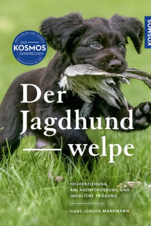 Der Jagdhundwelpe