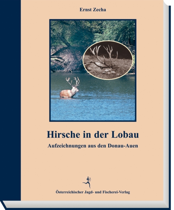 Hirsche in der Lobau