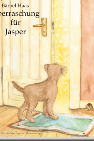 Überraschung für Jasper cover