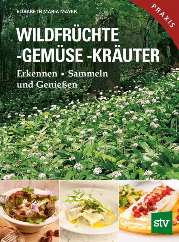 Wildfrüchte, -gemüse, -kräuter cover