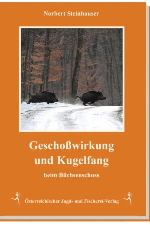 Geschoßwirkung und Kugelfang