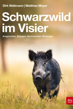 Schwarzwild im Visier