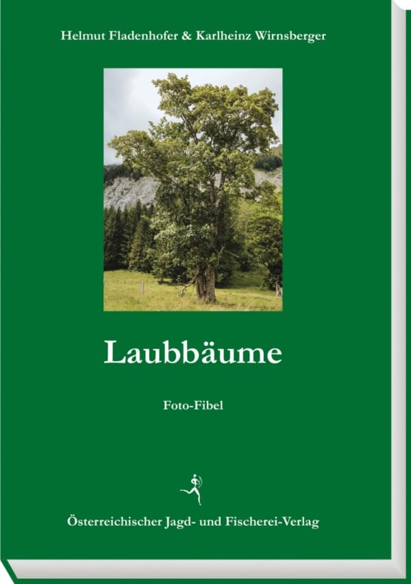 Laubbäume cover