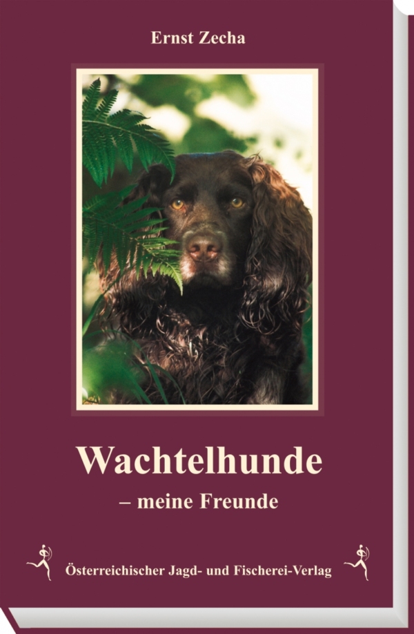 Wachtelhunde – meine Freunde