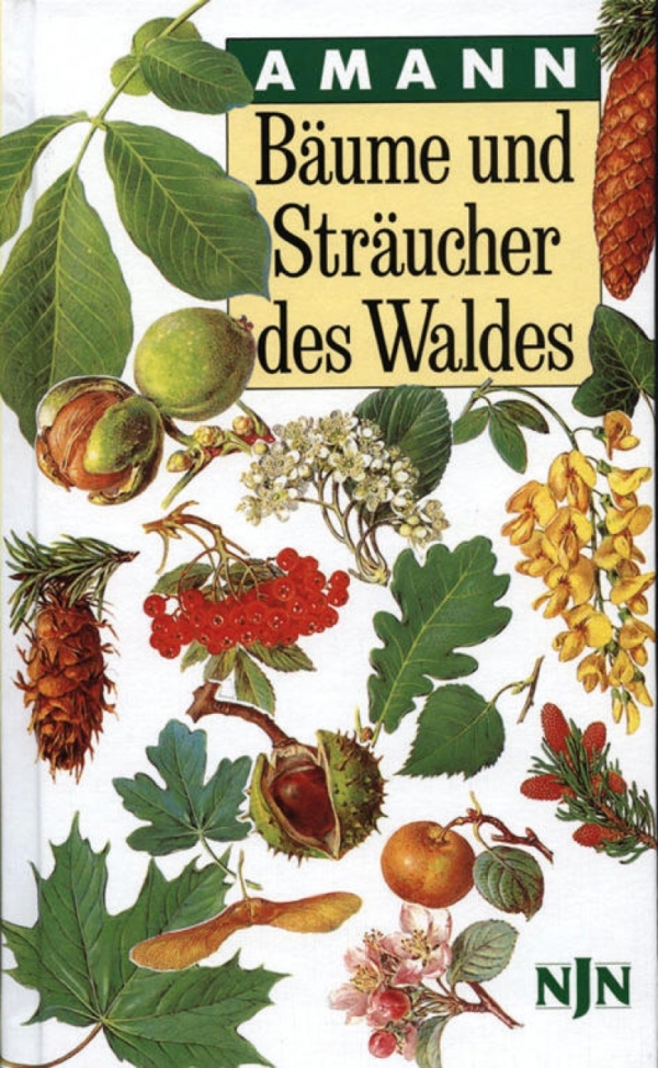 Bäume und Sträucher des Waldes cover