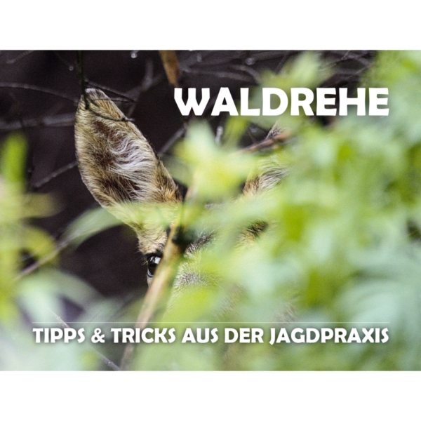 Broschüre: Waldrehe