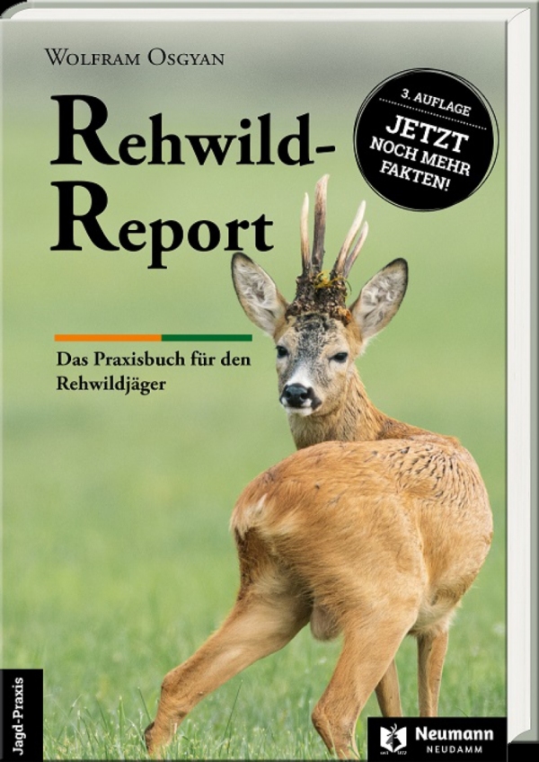 Rehwild-Report