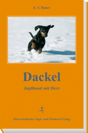 Dackel – Jagdhund mit Herz