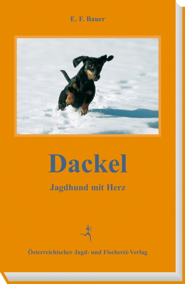 Dackel – Jagdhund mit Herz